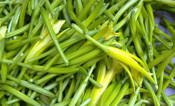 �и����ԳԻƻ����� �и��Իƻ����кô���